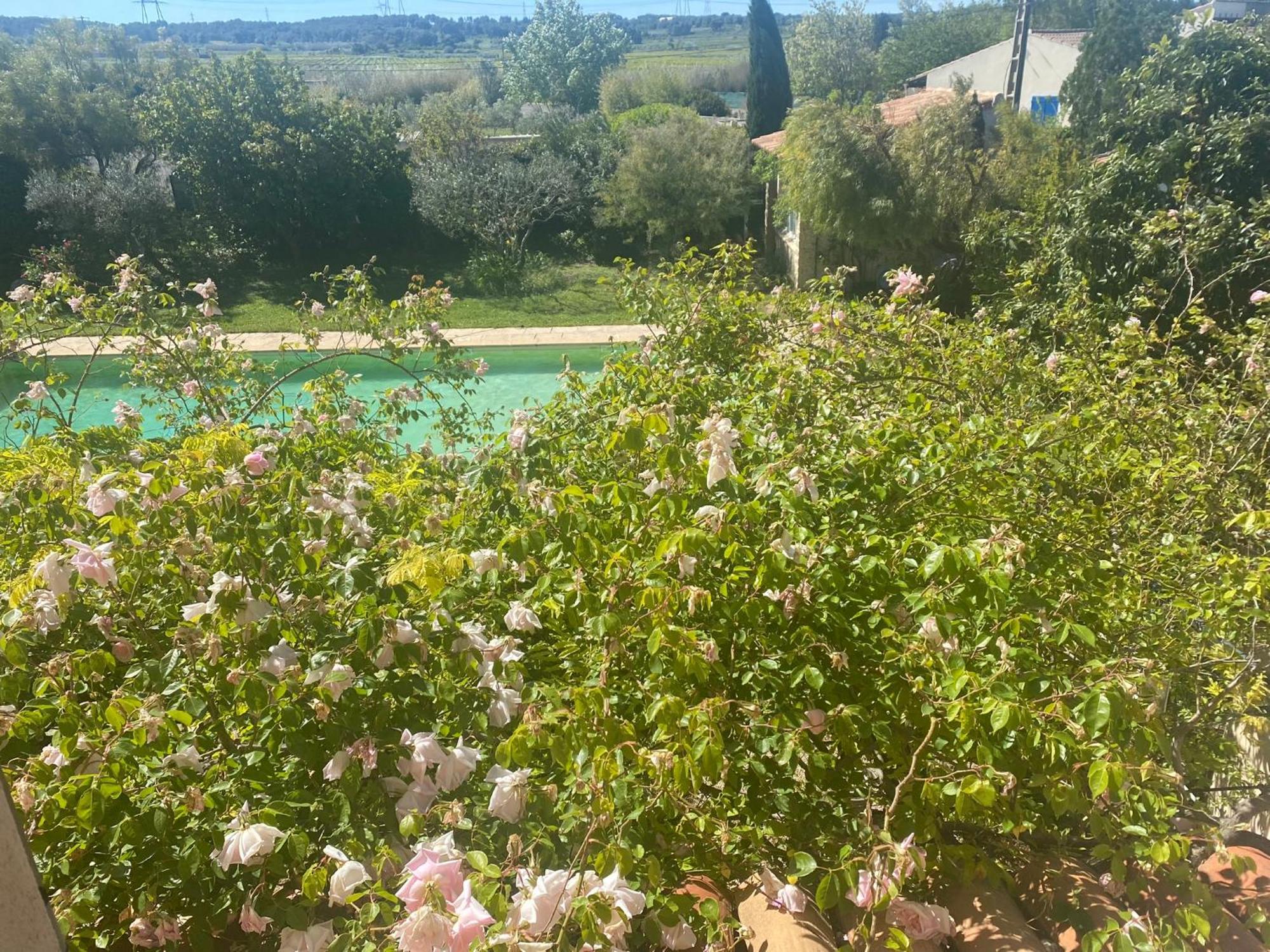 Le Mas Des Oliviers Martigues Kültér fotó