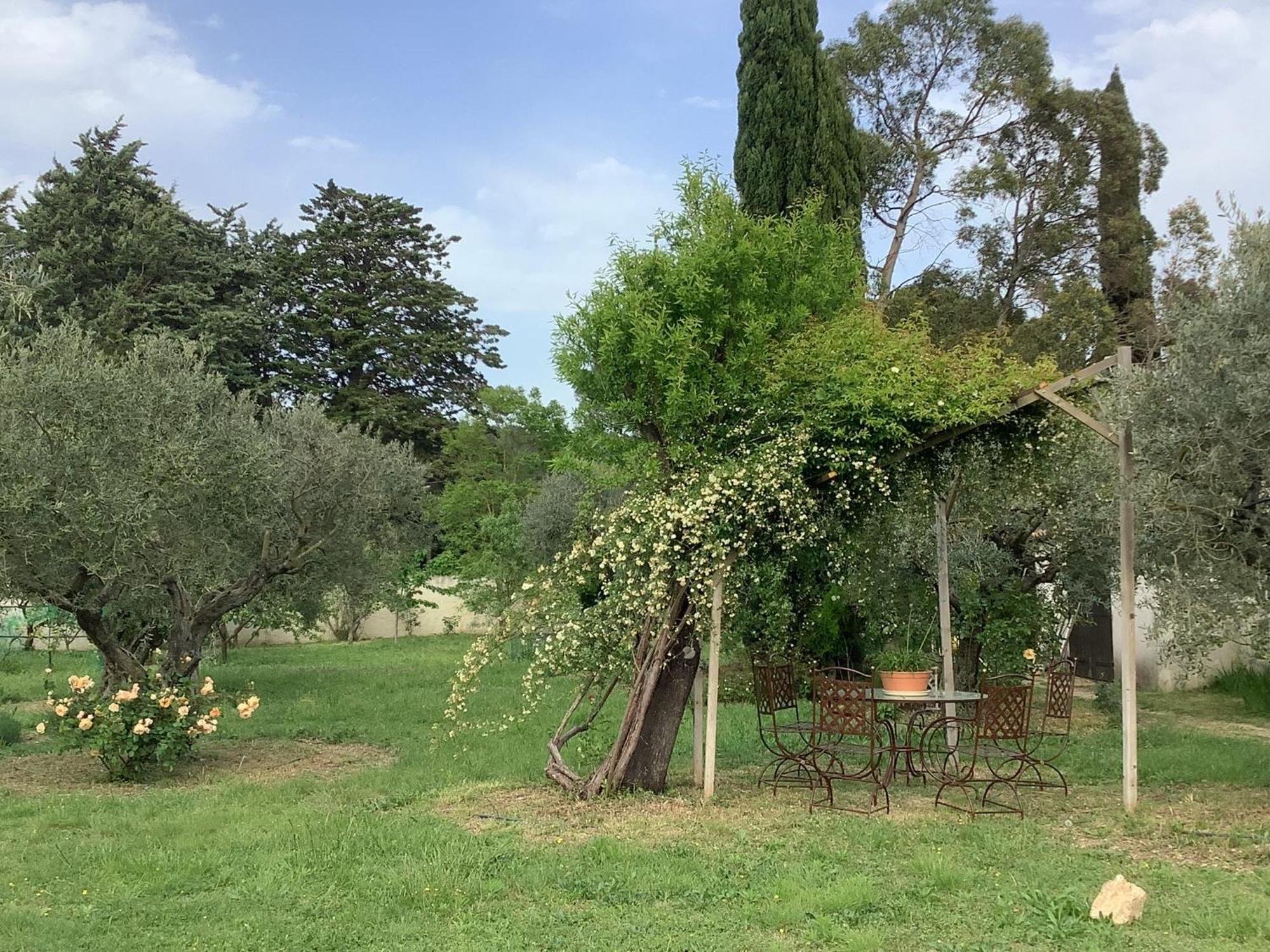 Le Mas Des Oliviers Martigues Kültér fotó